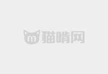 字屿云游手书：字屿第一款免费可商用字型-猫啃网
