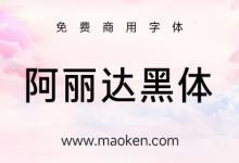阿丽达黑体:解码现代女性之美 与社会共享美丽的文化 免费商用-猫啃网